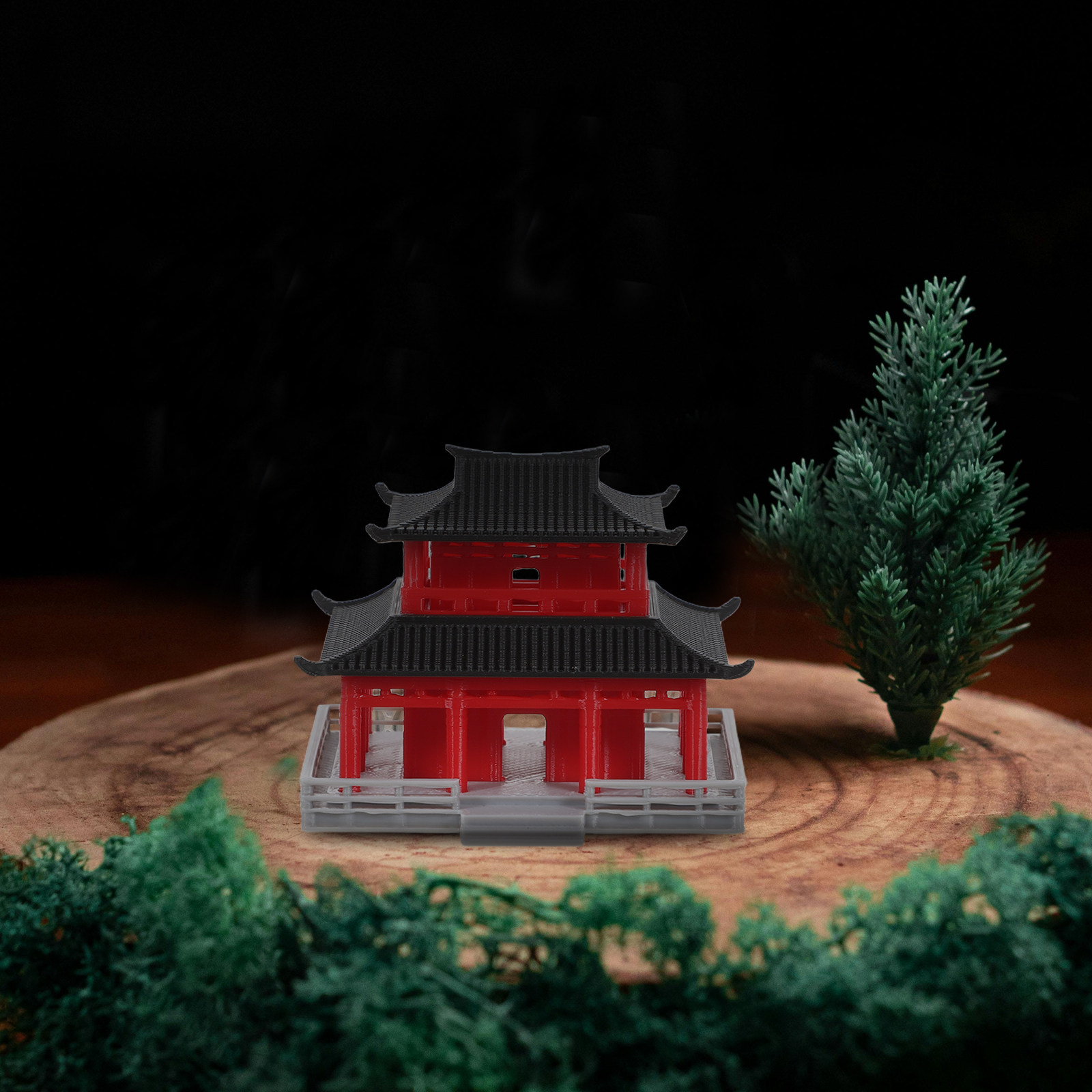 Ancient Chinese Black Red Pavi - огляд і ціна Aquarium & Marine Museum Universiti Malaysia Sabah Kota Kinabalu Sabah Reviews