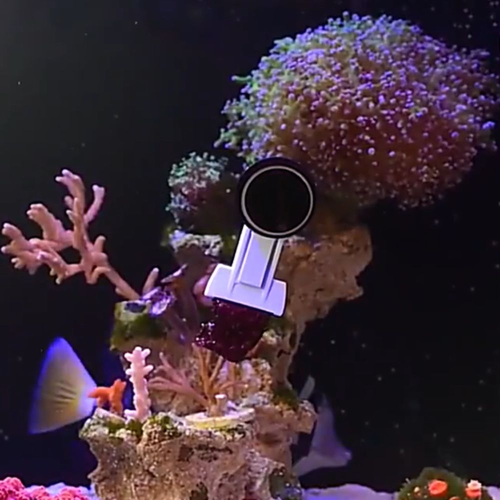 Magnetic Fish Tank Seaweed Veg - огляд і ціна Aquarium Marine Services