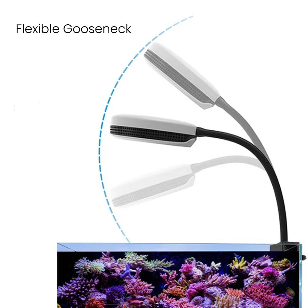 Spectra SP20 20W Aquarium LED  - огляд і ціна Marine Aquarium Reef