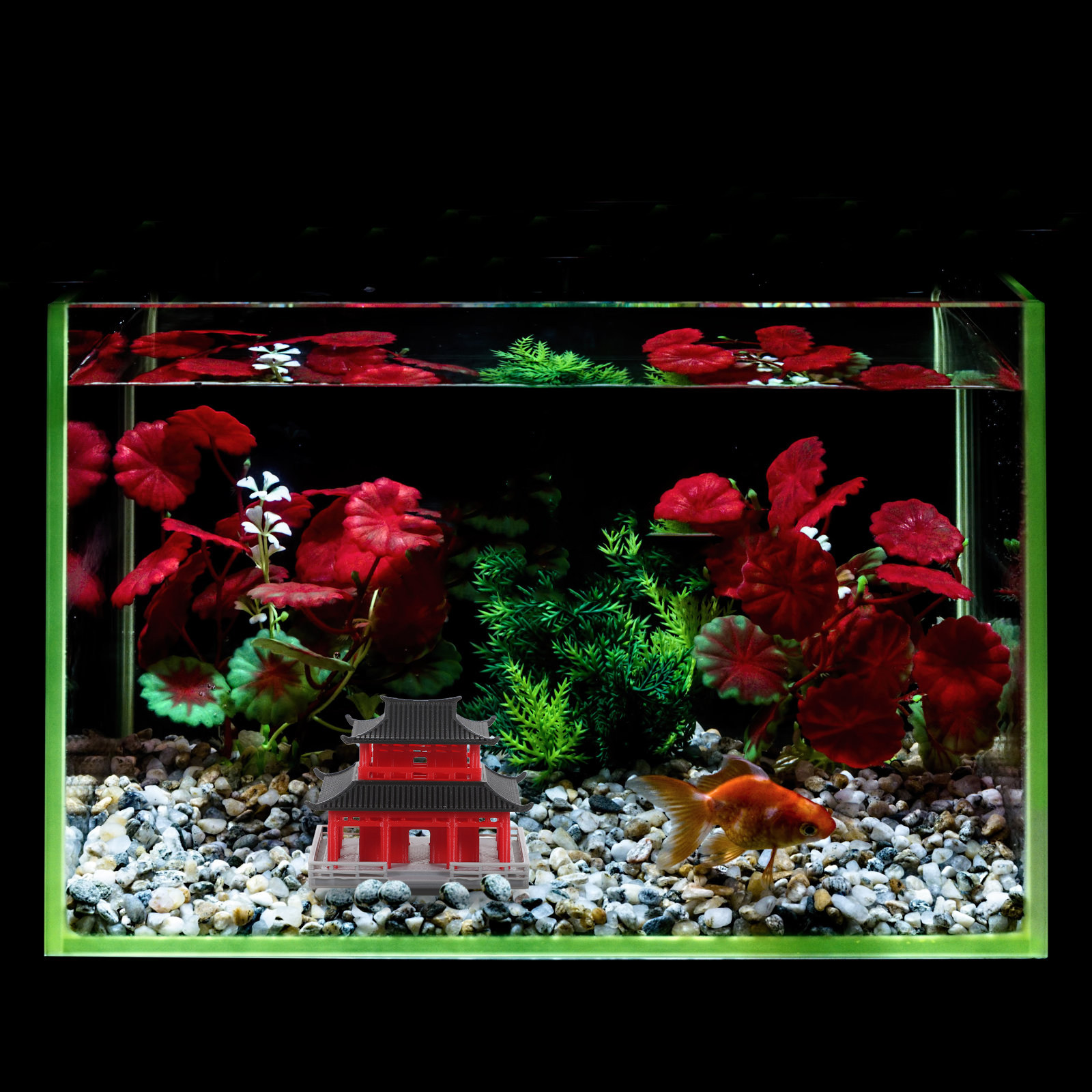 Mini Pavilion Pagoda Chinese A - огляд і ціна Aquarium & Marine Museum Universiti Malaysia Sabah Kota Kinabalu Sabah Reviews