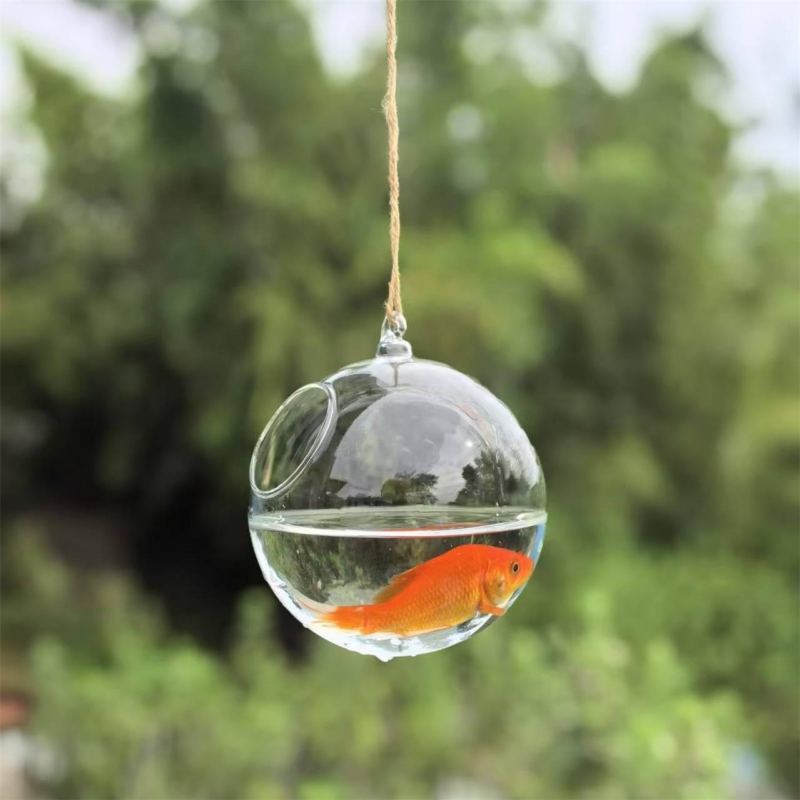 Small Packing Diameter=10cm 12 - огляд і ціна Aquarium & Marine Museum Universiti Malaysia Sabah Kota Kinabalu Sabah Reviews