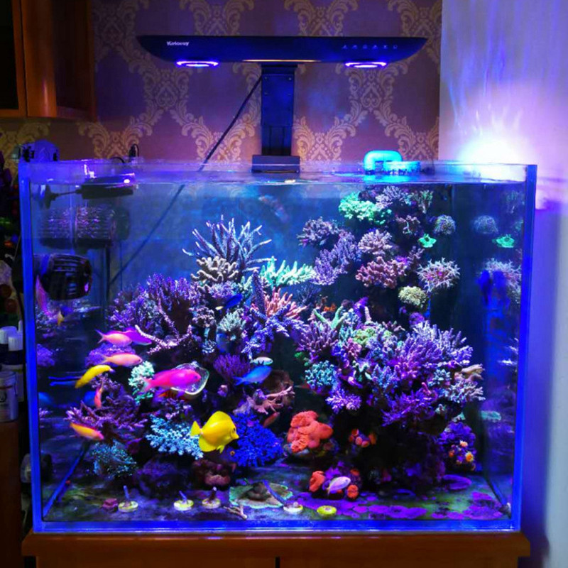 AE200 200W Aquarium Coral Reef - огляд і ціна Marine Aquarium Reef